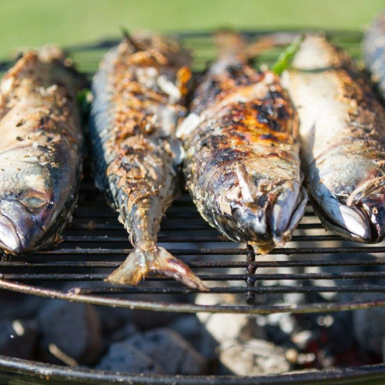 GASTRO zona Grilované ryby